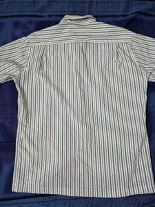 Classic Green Stripe Short-Sleeve Shirt
