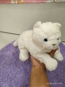 Cute White Plush Cat Toy