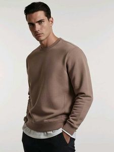 Brown Pullover Sweater