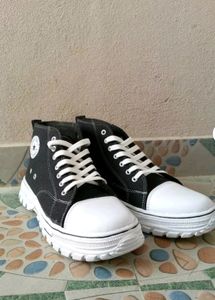 Converse Shoes