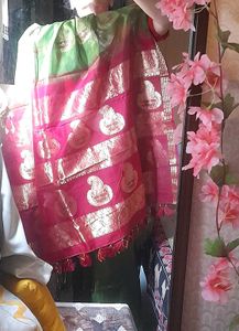 Elegant Mehndi Green Saree with Maroon Border
