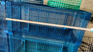 Cage For Birds ( Pijara)