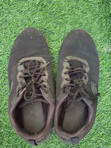 Skechers shoes