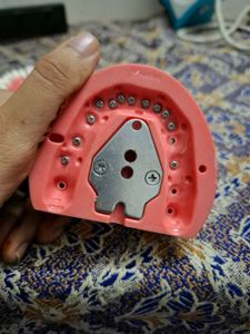 Nissin Typodont Dental Model for Practice