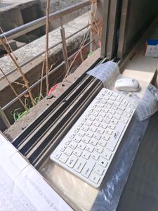 TERABYTE 2.4GHz Wireless Mini Keyboard &amp; Mouse Com