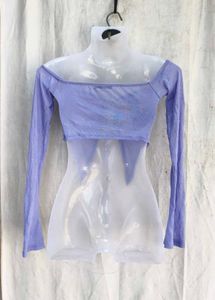 Sheer Mesh Off-Shoulder Top