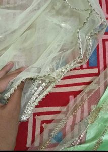 Sparkling Green Lehenga for Girls
