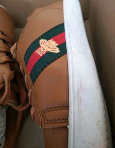 Premium Shoe