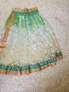 Cutest Lengha Coli
