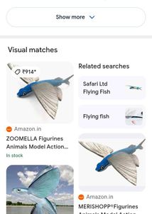 Flying Fish Toy