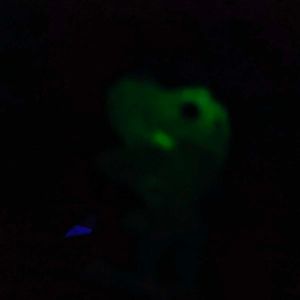 Green Dinosaur Toy