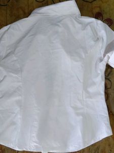Classic White Short Sleeve Button-Up Top