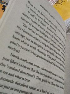 Discipline Is Destiny by Ryan Holiday