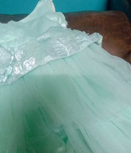Frilled NetSatin Embroidery FreshPista Color Frock