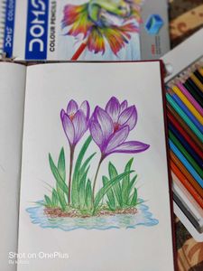 Floral Sketch (Drawing/Painting)