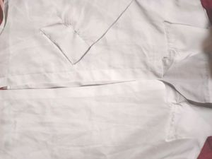 Crop Shirt 👔