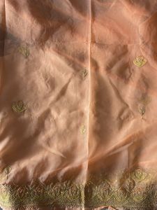 Peach Saree with Gold Embroidery