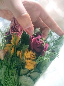 Dry Flower