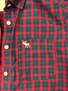 Abercrombie and Fitch Fitted Shirt