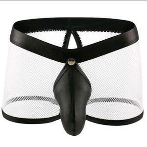 Men's Mesh & Faux Leather Briefs