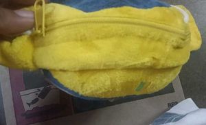 coin purse