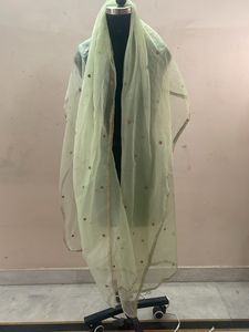 Sheer Dupatta with Embellishments
