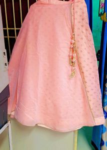 Pink Embroidered Lehenga Choli