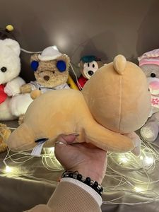 Adorable Bear Plushie with Star