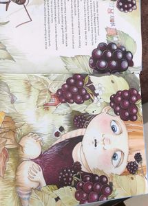 The Lillabo Express Children's Book