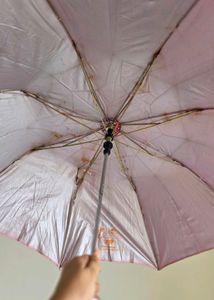 combo of rain item