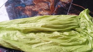 Light Green Kurta Set