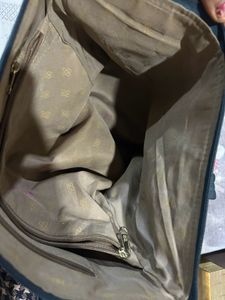 Baggit Handbag