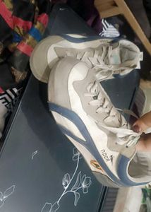 sports shoes and sneakers