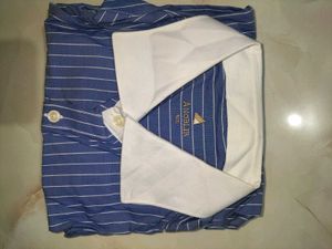 Blue Striped Men's Shirt