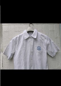 Cute White Collared Shirt