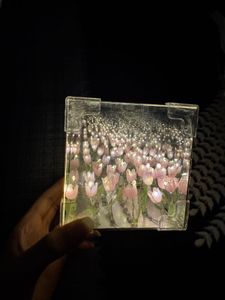 Tulip Lamp