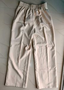 Formal Pant