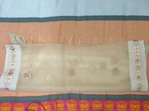 Organza Based Gotapatti Dupatta