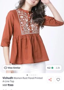 Embroidered Brown Tunic Top