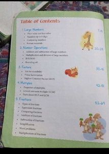 Maths Zest Book Grade 5