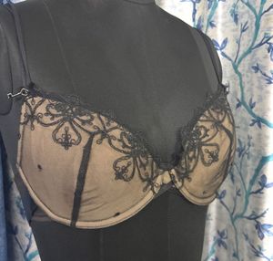 Sheer Embroidered Black Bra