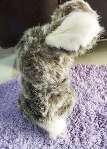 Bunny Plush with Butterfly