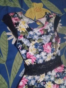 Floral Print Fit &amp; Flare Dress