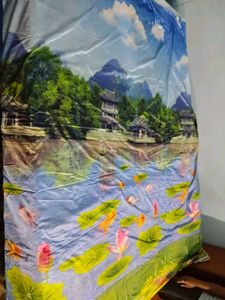 Curtain 🐠