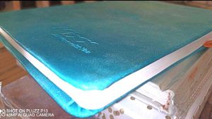 🔀📘📘Set of 2 Notebook Diaries Year 2025