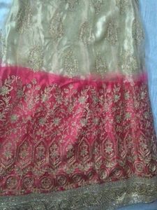 Elegant Red Dupatta with Gold Border(no blouse