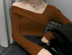 Stylish Brown Top
