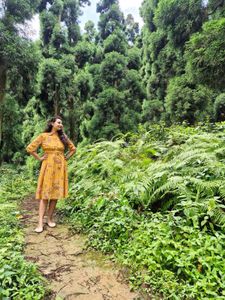 Stylish Yellow Floral Print Midi Dress