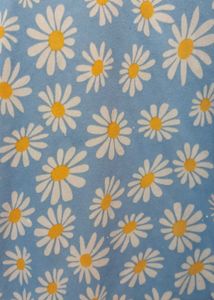 Cute Daisy Print Top