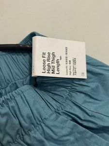 Nike new Teal Running Shorts